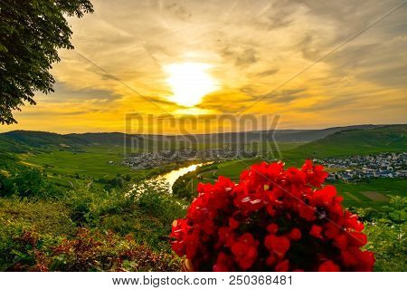 Leiwen Village On The Mosell Ein Germany