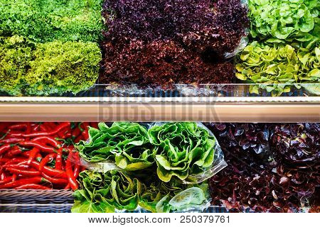Colourful Mix Of Different Red, Green, Violet Fresh Vegetables And Greens At The Shelfs Of Supermark