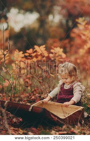 Little Cute Blonde Girl Sits In Autumn Park And Looks In An Old Suitcase