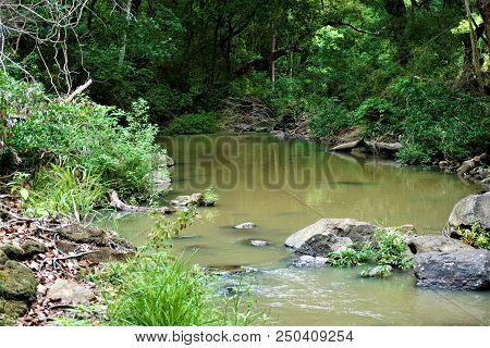 Riverbank In The Lomas De Barbudal Biological Reserve, Costa Rica