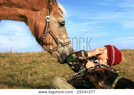 Junge, Pferde und Hunde