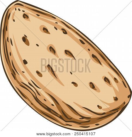 Unshelled Almond Isolated On A White Background