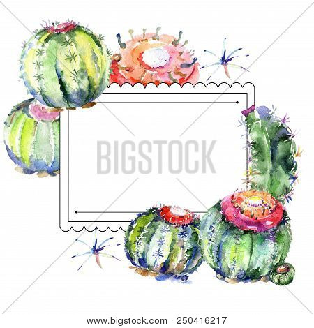Wildflower Green Cactus. Floral Botanical Flower. Frame Border Ornament Square. Aquarelle Wildflower