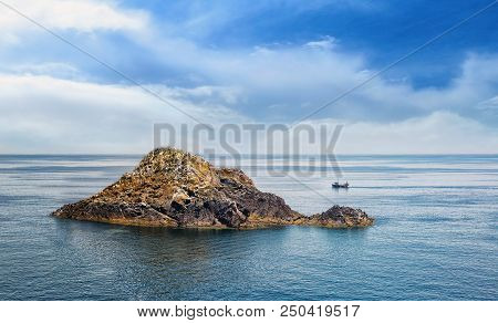Birds In Saltee Islands And A Boat Near The Island. Ireland.