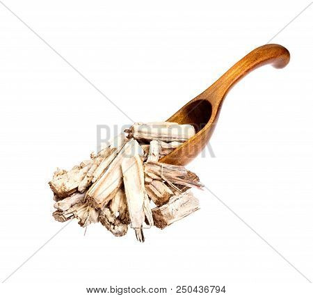 Dry Burdock On The Wooden Spoon. High Resolution Photo.