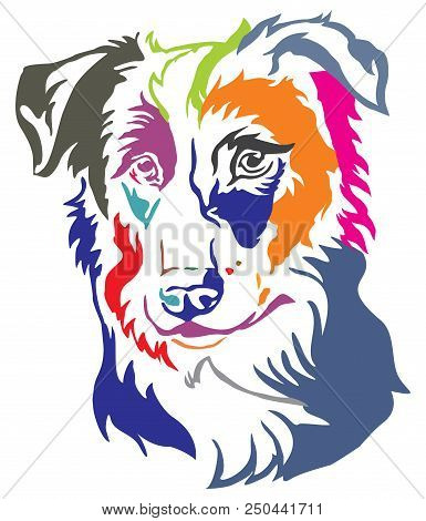 Colorful Decorative Portrait Of Dog Border Collie, Vector Illustration In Different Colors Isolated 