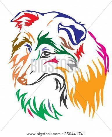 Colorful Decorative Portrait Of Dog Shetland Sheepdog ( Sheltie), Vector Illustration In Different C
