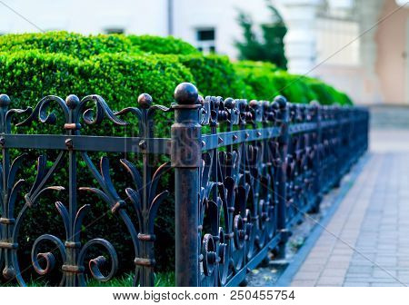 Iron Forged Fence, Wrought Iron Ornaments,horizontal Photo,natural Light, Space For Copy, Closeup,