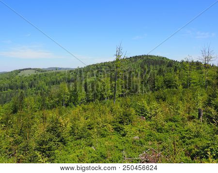 Salmopol Pass Near Kotarz Mount In Green Silesian Beskids Mountains Range Landscapes Near European C