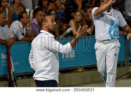 Budapest, Hungary - Jul 29, 2017. Ivica Tucak, Head Coach Of Croatia In The Final. Fina Waterpolo Wo