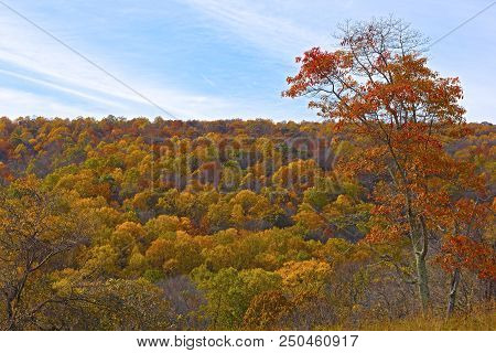 A Dense Deciduous Forest In Late Autumn. Foothills With Forest In Autumn Colors.