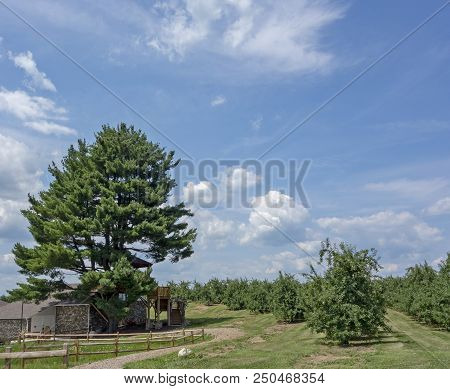 Walden, New York - July 13, 2018:  A Partial View Of The Beautiful Tasting Treehouse And Applie Orch