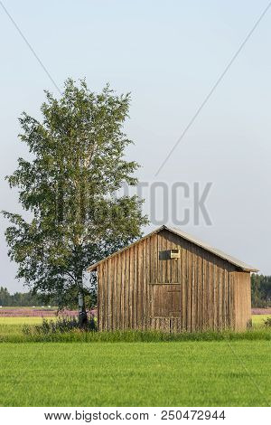 Barn In Farmfield By Tree With A Blue Sky.