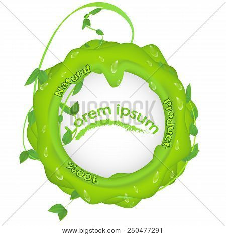 Green Blob With Branches Leaves And Dew Drops And The Inscription 100 Natural Product, With A Place 