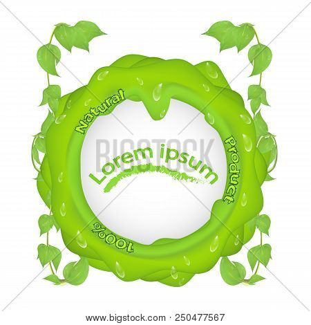 Green Blob With Branches Leaves And Dew Drops And The Inscription 100 Natural Product, With A Place 