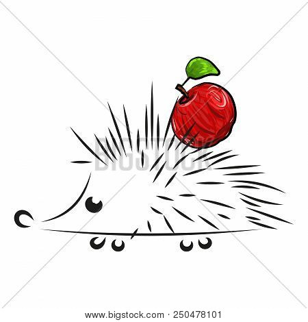 Hedgehog With An Apple. Vector Illustration Of A Hedgehog. Hand Drawn Funny, Cartoon Hedgehog With A