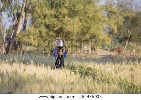 Mandu, India - February 02, 2017 : Indian Girl With A Jug With Water On Her Head Goes Through A Whea