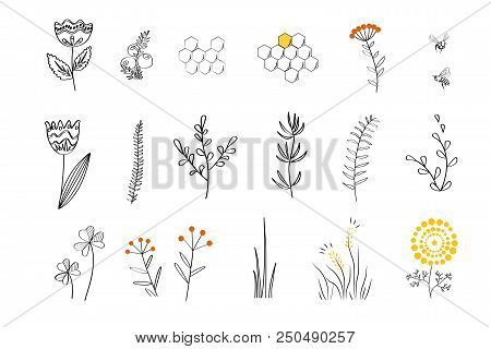 Doodle Plants - Cartoon Nectar Sources For Honey Bees. Vector Hand Drawn Set, Linear Style