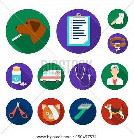 Veterinary Clinic Flat Icons In Set Collection For Design. Treatment Of A Pet Vector Symbol Stock  I