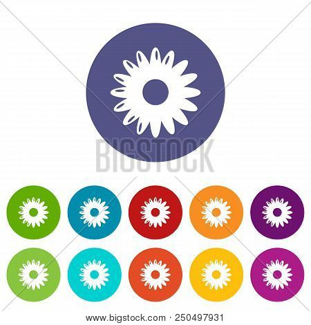 Honey Flower Icons Color Set Vector For Any Web Design On White Background