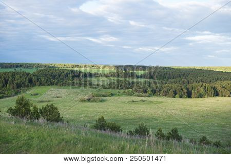 Field Of Grass And Perfect Sky. Wild Nature.