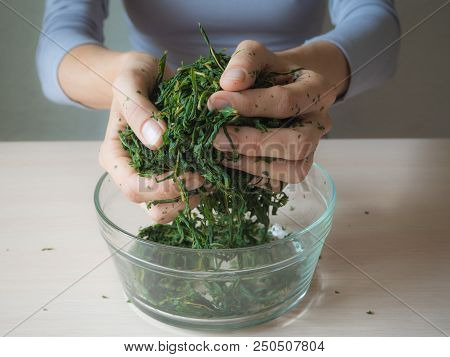 Fermentation Process Of Tea Leaves. Manual Production Koporye Tea - Ivan Tea
