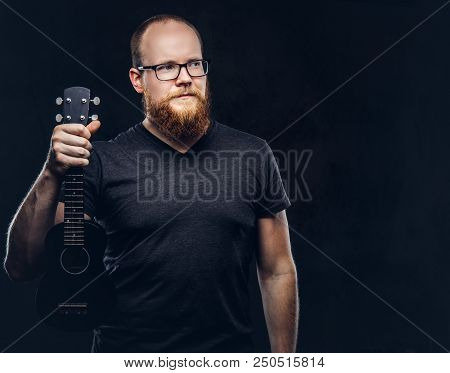 Redhead Bearded Male Musician Wearing Glasses Dressed In A Gray T-shirt Holds Ukulele. Isolated On D