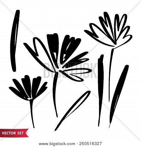 Vector Set Of Ink Drawing Palm Leaves, Monochrome Artistic Botanical Illustration, Isolated Floral E