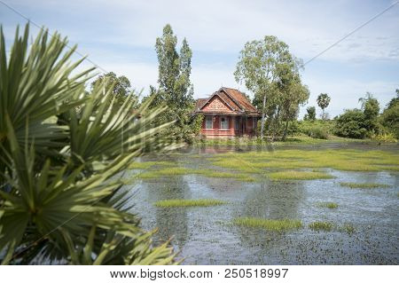 Cambodia Kampong Thom Landscape House