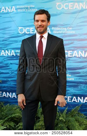 LOS ANGELES - JUL 21:  Austin Nichols at the 11th Annual SeaChange Summer Party on the Private Residence on July 21, 2018 in Laguna Beach, CA
