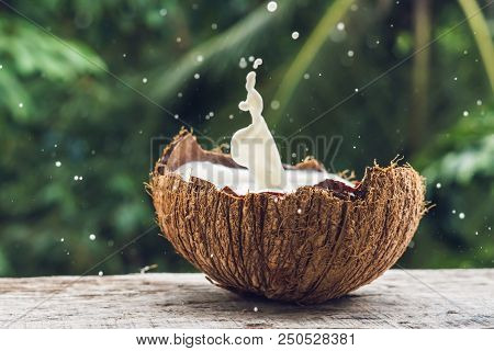 Coconut Fruit And Milk Splash Inside It On A Background Of A Palm Tree.