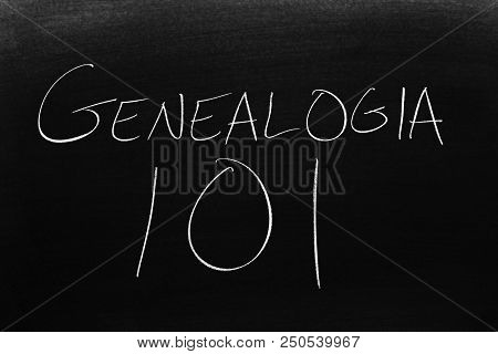 The Words Genealogía 101 On A Blackboard In Chalk.  Translation: Geneology 101