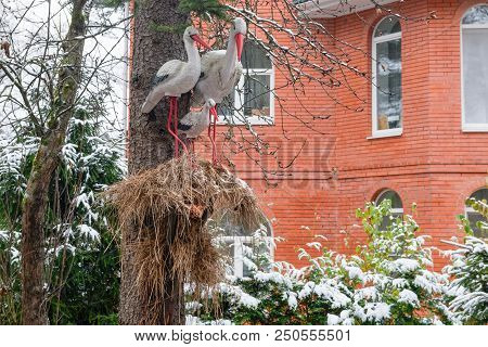 Moscow Region, Russia - October 28, 2017: Composition With A Nest Of Storks In Front Of The House. T