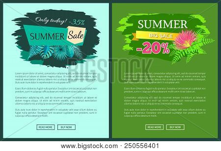 Summer Sale With 35 And 30 Percent Off Promotional Emblems On Web Posters. Summertime Tropical Plant