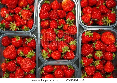 Close Up Of Fresh Red Ripe Strawberries In Transparent Plastic Container Boxes On Retail Market Disp