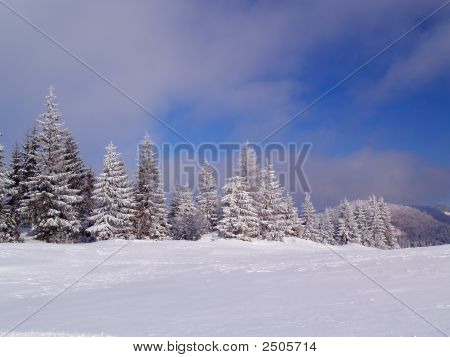 Winter landschap