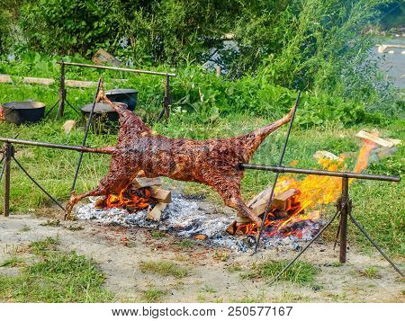 Carcass Of The Sheep On A Rotating Spit During Cooking Over Open Fire Outdoor