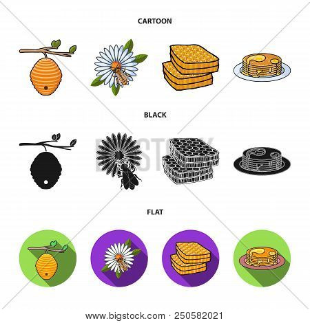A Hive On A Branch, A Bee On A Flower, A Honeycomb With Honey, A Honey Cake.apiary Set Collection Ic