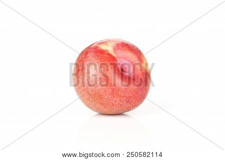 One Whole Fresh Pluot Interspecific Plums Variety Isolated On White