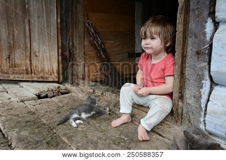 Little Girl Is Playing With A Gray Cat 2018