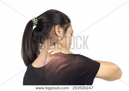 Shoulder Muscle Injury White Background Shoulder Pain