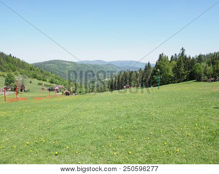 View Of Exciting Green Grassy Field And Forest At Beskid Mountains Range Landscapes In European Salm