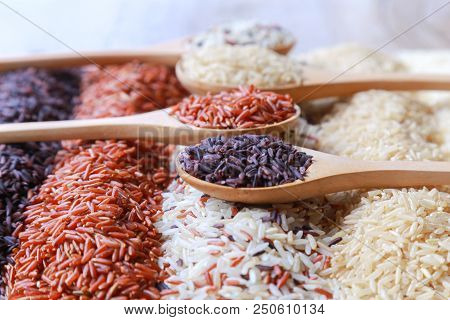 Five Kinds Of Rice On Wooden Spoon.