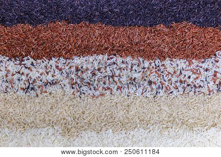 Food Background With Top View Of Five Rows Of Rice.