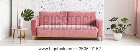 Pink Velvet Sofa In Real Photo Of Bright Living Room Interior With Lastrico Pattern Wall And Monster