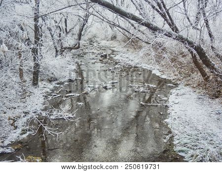 Beautiful Winter Landscape In The City Park.
