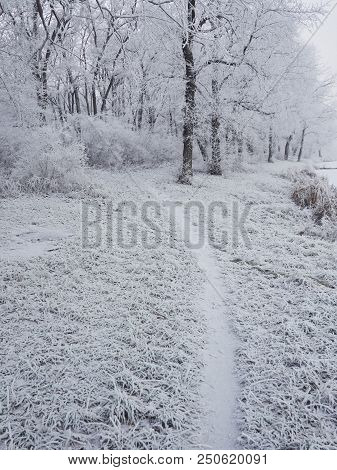 Beautiful Winter Landscape In The City Park.
