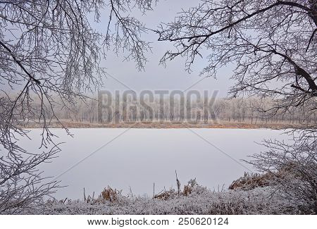 Beautiful Winter Landscape In The City Park.