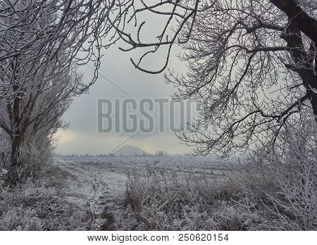 Beautiful Winter Landscape In The City Park.