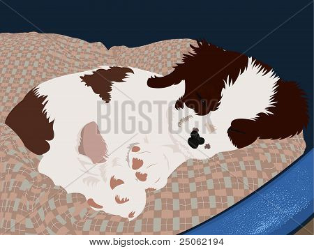 Puppy in slaap in de mand
